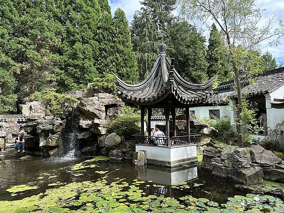 An einem sonnigen Tag steht ein traditioneller chinesischer Pavillon an einem Teich mit Seerosen und einem kleinen Wasserfall, umgeben von Felsen, üppigen grünen Bäumen und Gartenpflanzen.