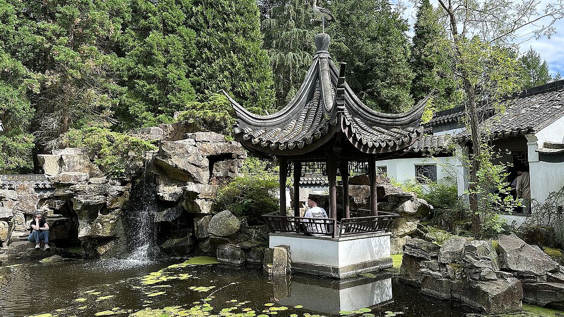 An einem sonnigen Tag steht ein traditioneller chinesischer Pavillon an einem Teich mit Seerosen und einem kleinen Wasserfall, umgeben von Felsen, üppigen grünen Bäumen und Gartenpflanzen.