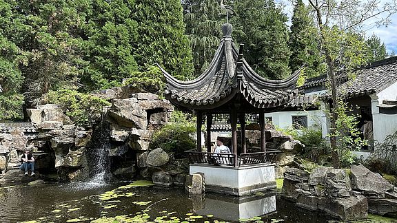 An einem sonnigen Tag steht ein traditioneller chinesischer Pavillon an einem Teich mit Seerosen und einem kleinen Wasserfall, umgeben von Felsen, üppigen grünen Bäumen und Gartenpflanzen.